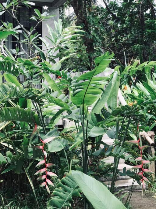 Dreamtime Hikkaduwa Exterior foto