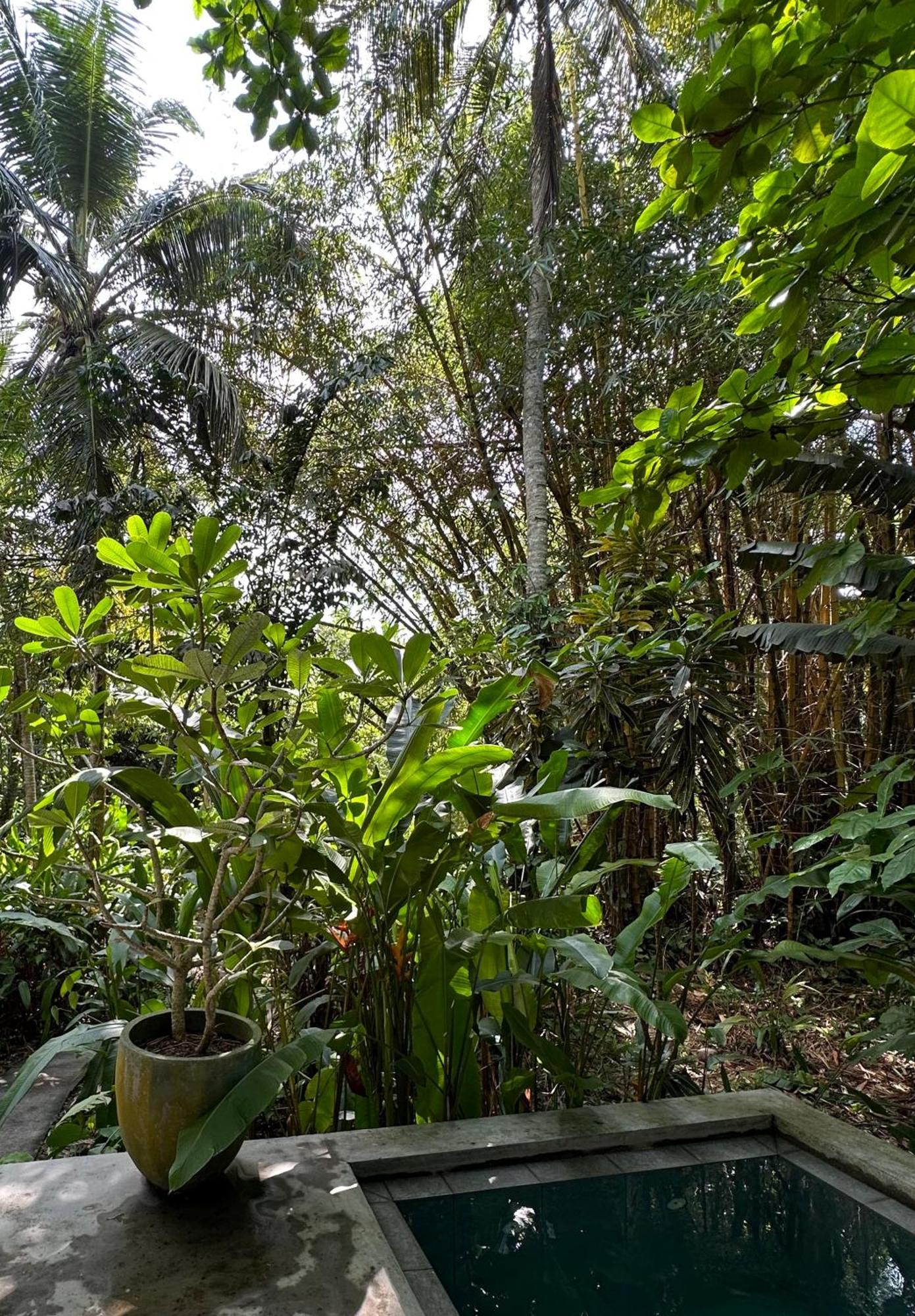 Dreamtime Hikkaduwa Exterior foto