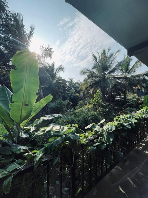 Dreamtime Hikkaduwa Exterior foto
